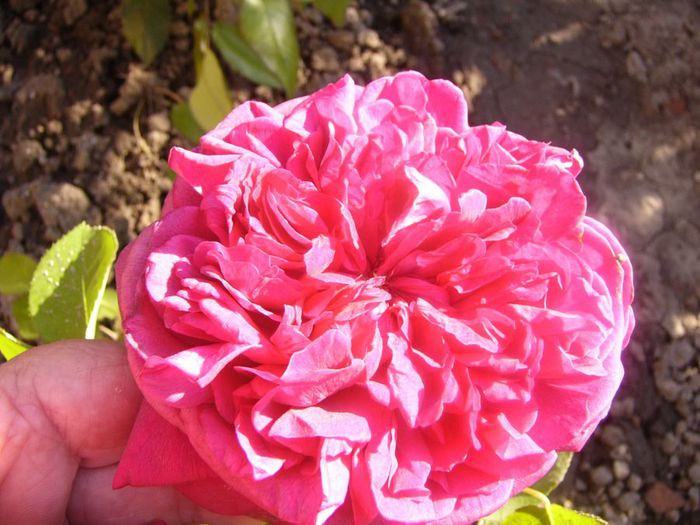 P1210655