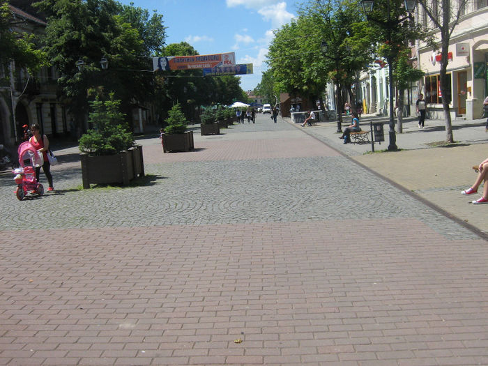 pietonal  Bistrita 004