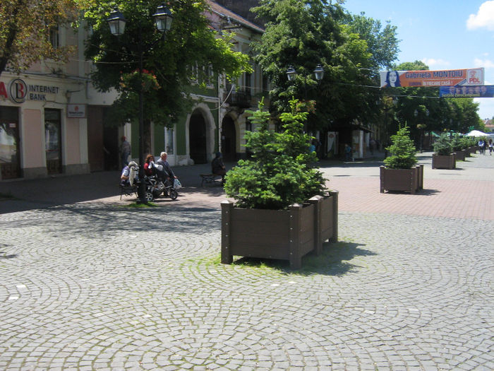 pietonal  Bistrita 005