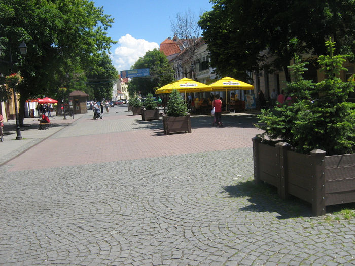 pietonal  Bistrita 006