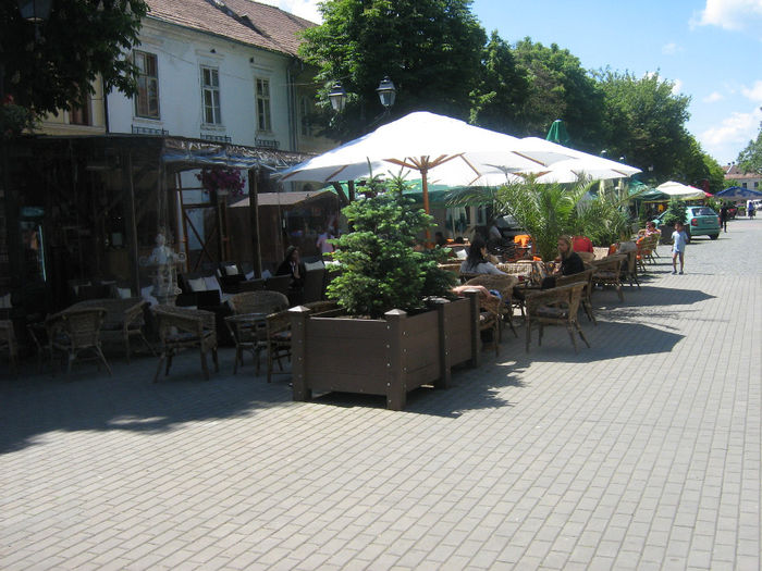 pietonal  Bistrita 009