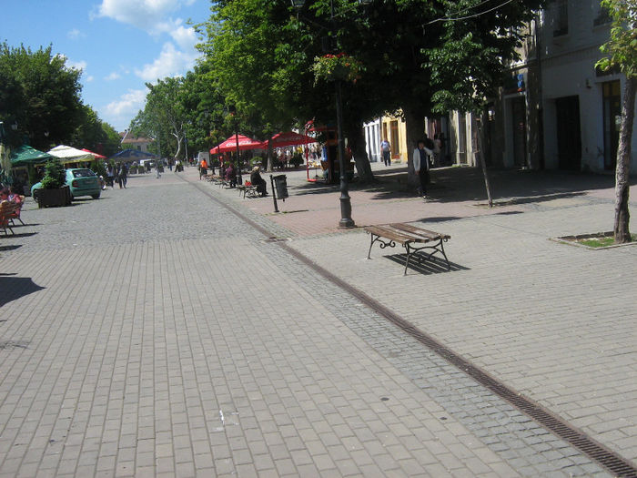 pietonal  Bistrita 010