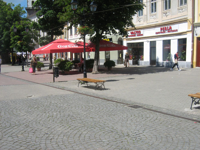 pietonal  Bistrita 012