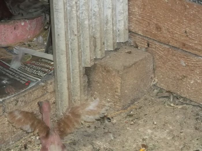 MAMAAAAA, UNDE ESTI ??
