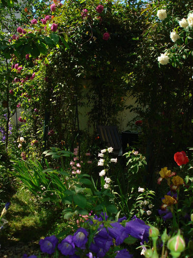 DSC00158 - Gradina in 2014