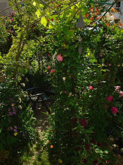 DSC00196 - Gradina in 2014