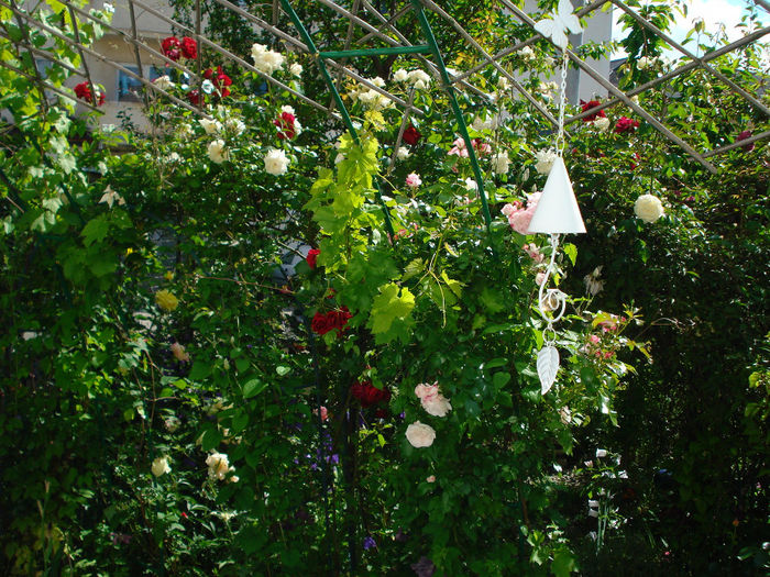 DSC00195 - Gradina in 2014