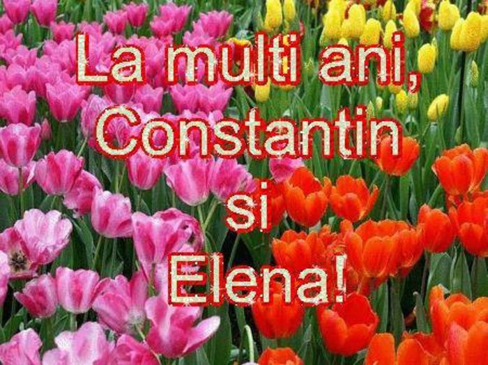 10402810_1473916012844489_7719536654650686595_n