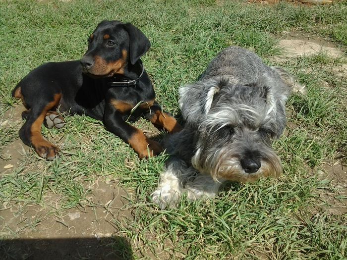 20140521_150247; Neo si Enzo
