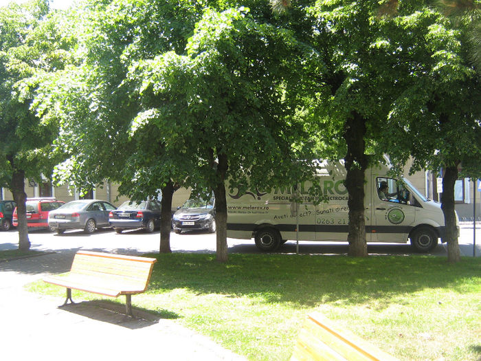 parcul din Piata Centrala 010
