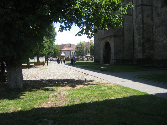 parcul din Piata Centrala 012