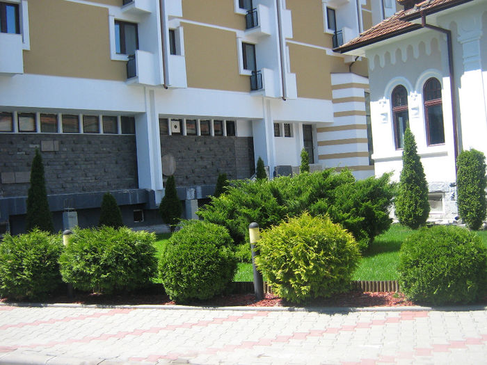 Piata Petru Rares 013 - Bistrita sau Poarta Transilvaniei