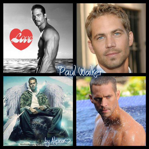 Day 18 - Paul Walker - 100 days with hot boys or actors - The End