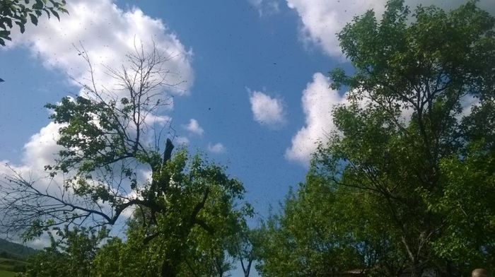 altAi3XNhFovOheqZEL_YJATCz_qVUa2sgqTGRzPUOEG9xG