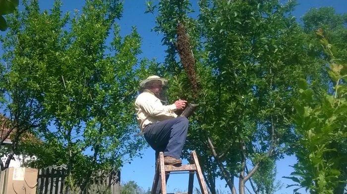 altAnBpTc83Ithp3eZM3vv3k6dEVPST9tKOJBFFDh1bUM6f