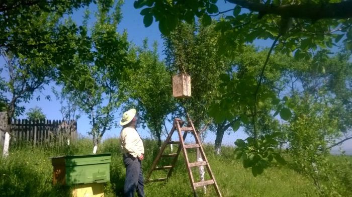 altAo5Jq--AB5vkE2cZE3DQ0sb_wVuOk0yt8X9PyLC_bTYl