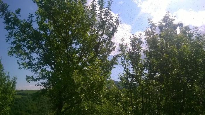 altArs_4vkb2ETk9u4GGf4vNNPOyKxs0jeBqSi6DCm08aZv