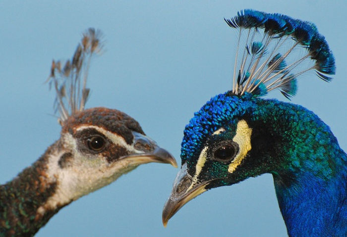 b74fd0fda90f8c282a56f4c9a77b735b