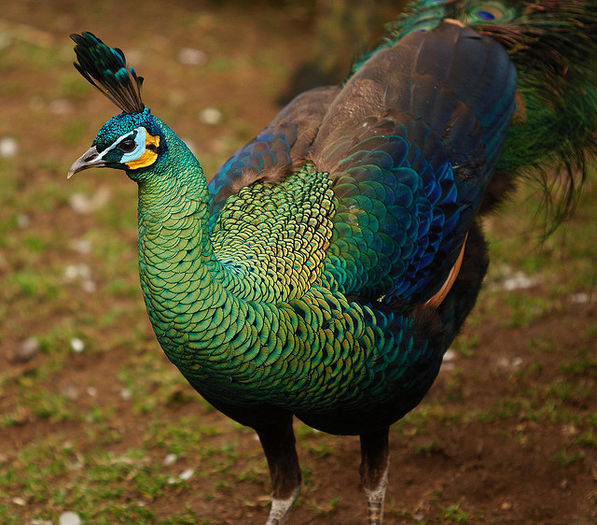 tumblr_lzxckb3urA1r4t9h1o1_1280