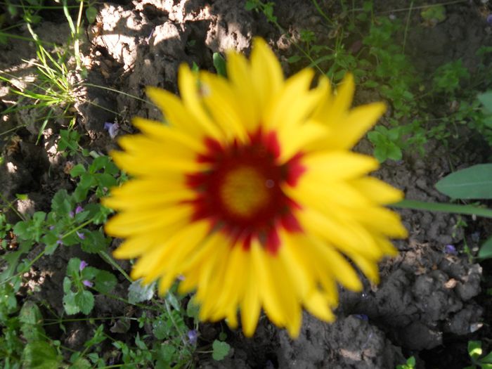 DSCN6072