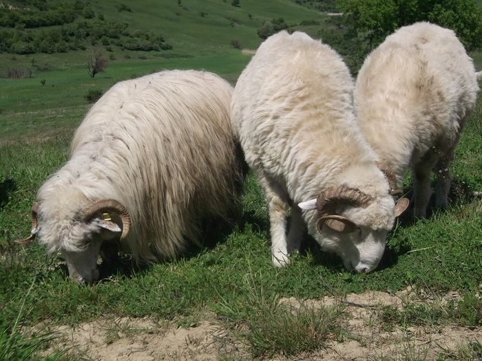 Picture 114 - 0000 MiORi 2014