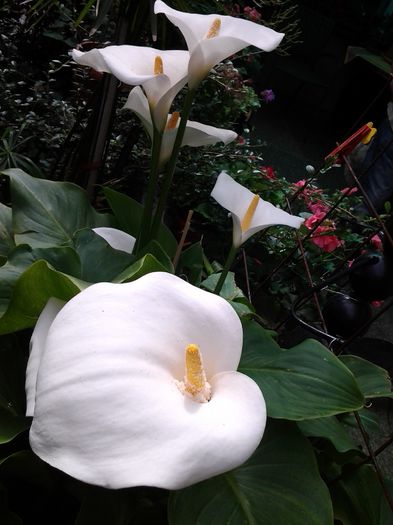 20140522_094844