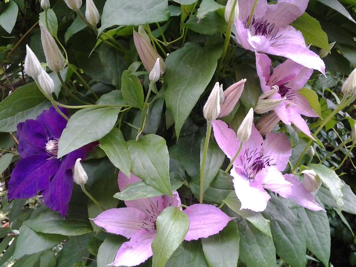 20140522_094839
