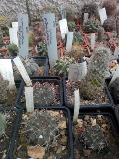 IMG_20140523_100236 - Diverse 1