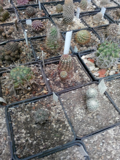 IMG_20140523_100328 - Diverse 1