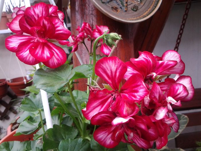 20140523_141215