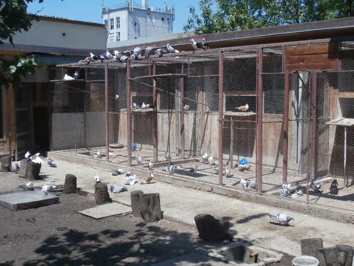 160488 vizite - F- Poze Primavara 2014