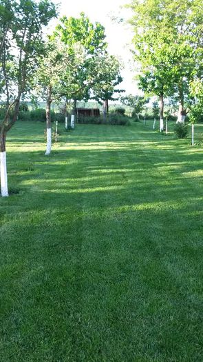 20140517_192505