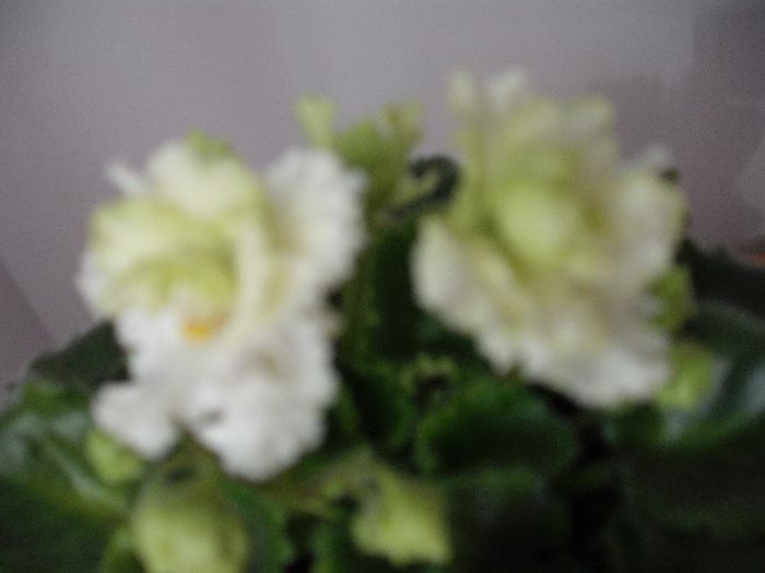 2014-05-14 17.13.47