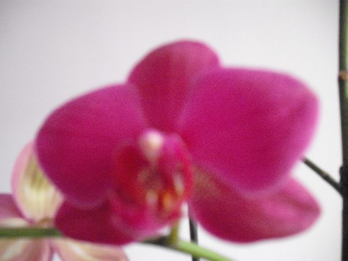 2014-05-14 17.16.39