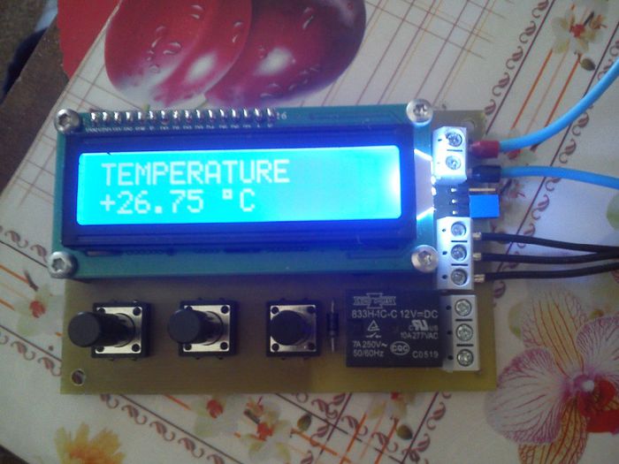 termostat nou - 4 - Proiect nou incubator