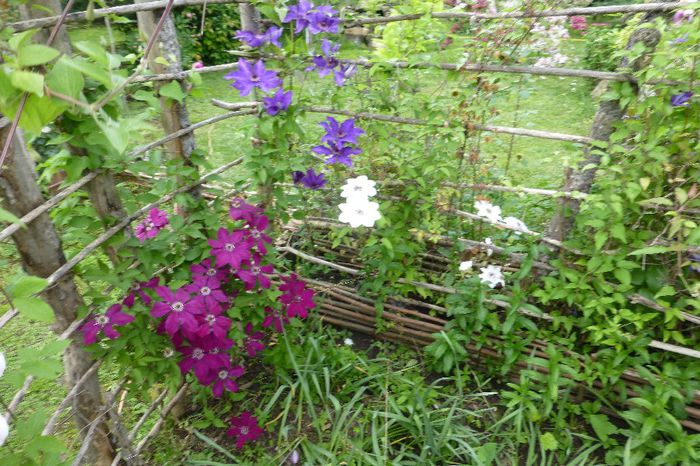 P1030273 - 23 05 2014