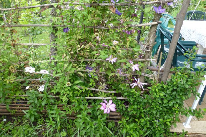 P1030274 - 23 05 2014