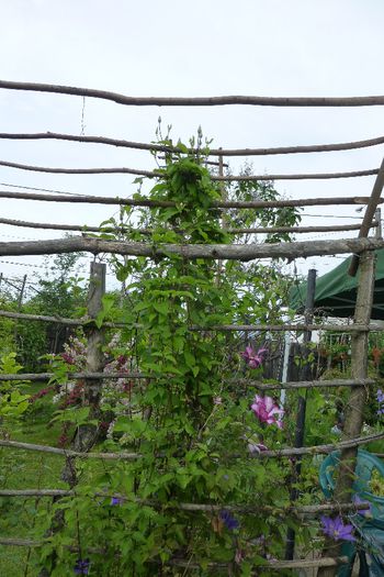 P1030276 - 23 05 2014