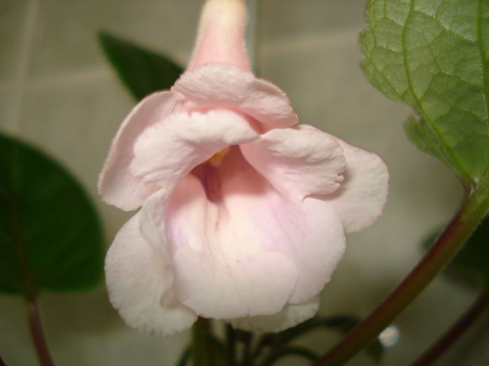 DSC08820