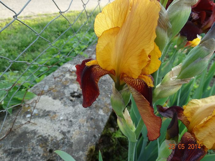 DSC03572