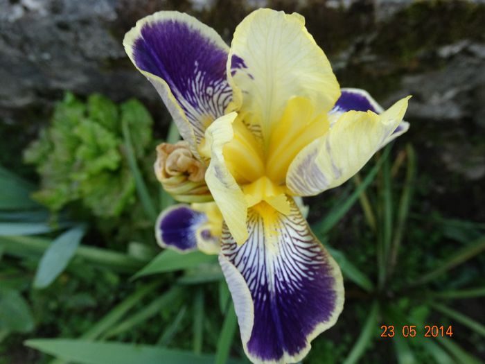 DSC03570