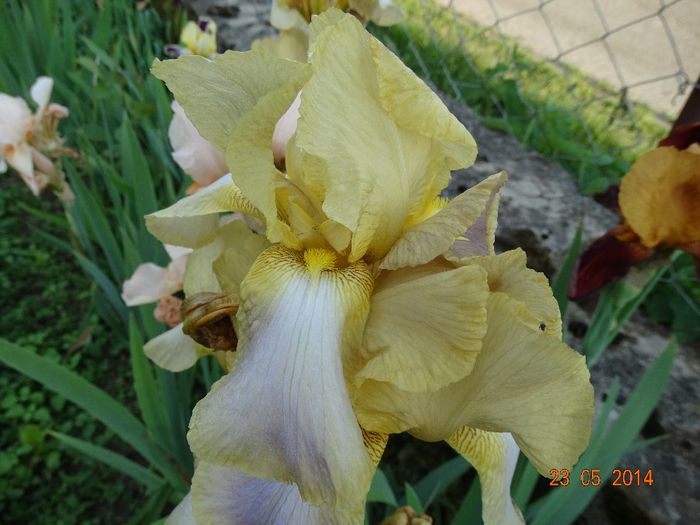 DSC03552