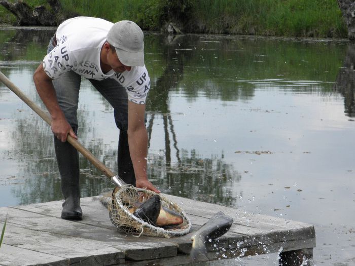 P5230184 - PESCUIT 2014