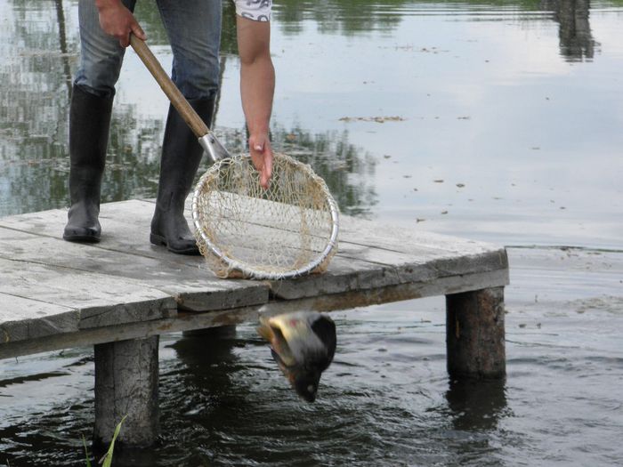 P5230185 - PESCUIT 2014