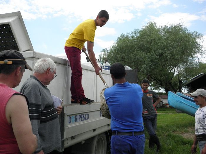 23.05.2014 - PESCUIT 2014