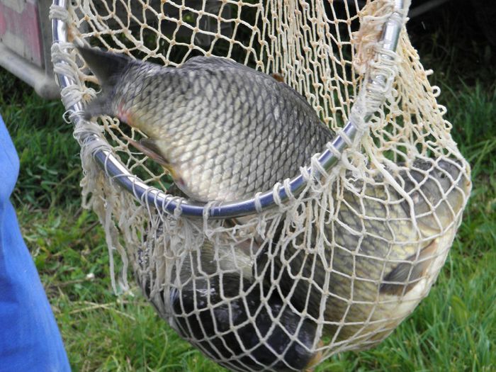 P5230195 - PESCUIT 2014