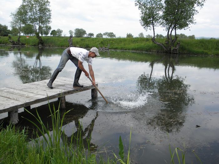 P5230196 - PESCUIT 2014