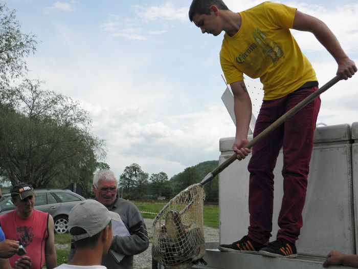 P5230200 - PESCUIT 2014