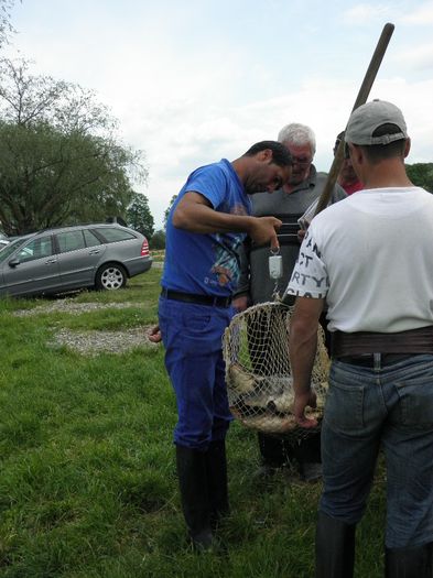 P5230201 - PESCUIT 2014