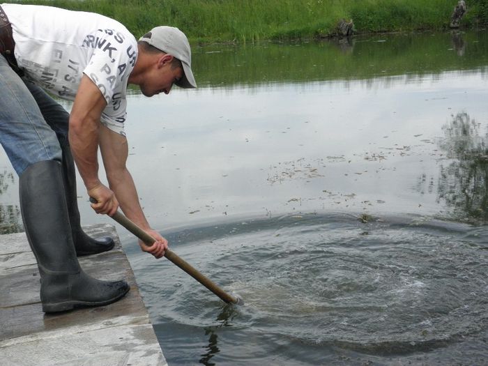 23.05.2014 - PESCUIT 2014